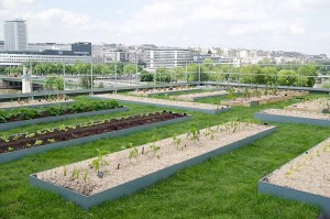 Vegetable garden Le Cordon Bleu Paris