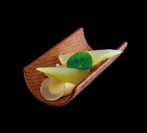 Pear nasturtium modern by William Werner