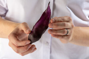 Purple corn cob leaves